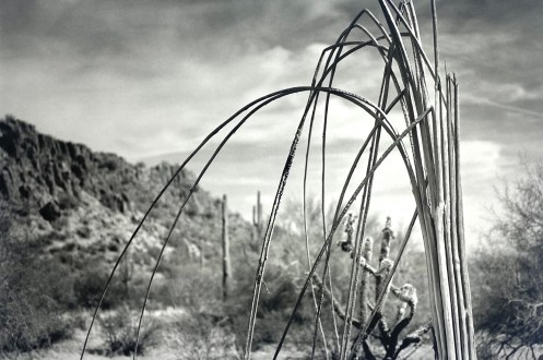 Medium format Polaroid 600 SE, Black and white photography, Landscape photography